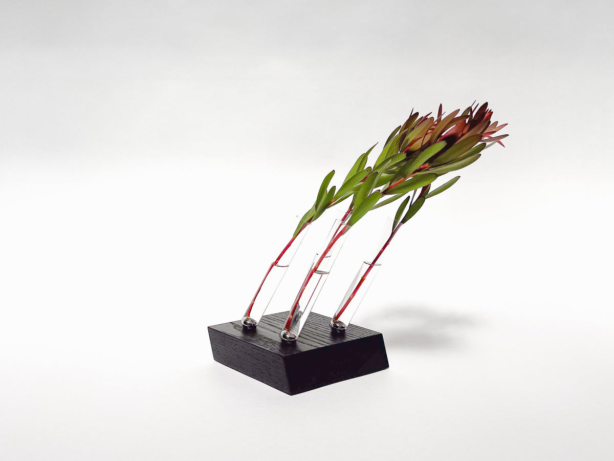 Adattamento Floreale