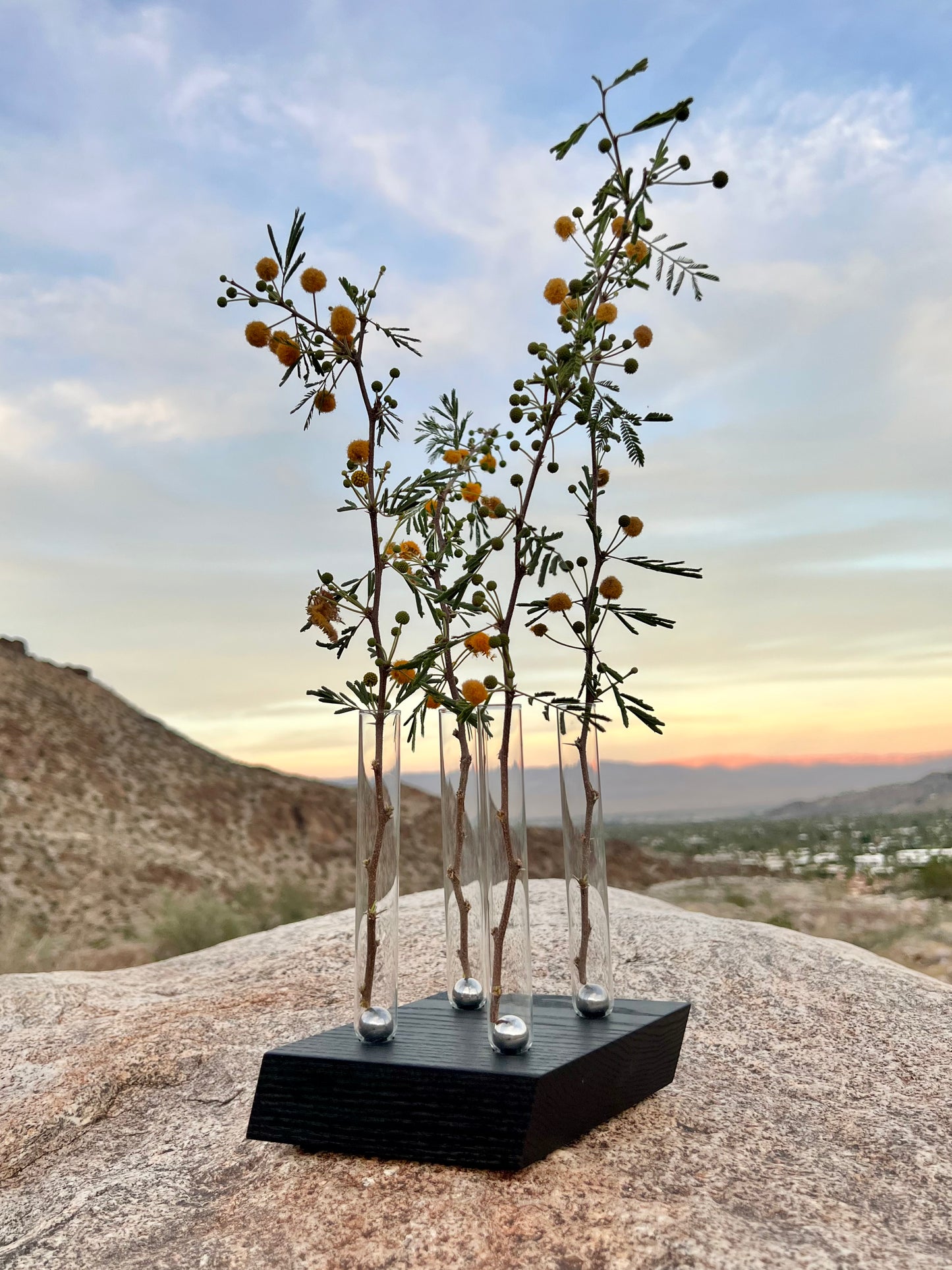 Parallel Adaptation (adaptable magnetic flower vase)