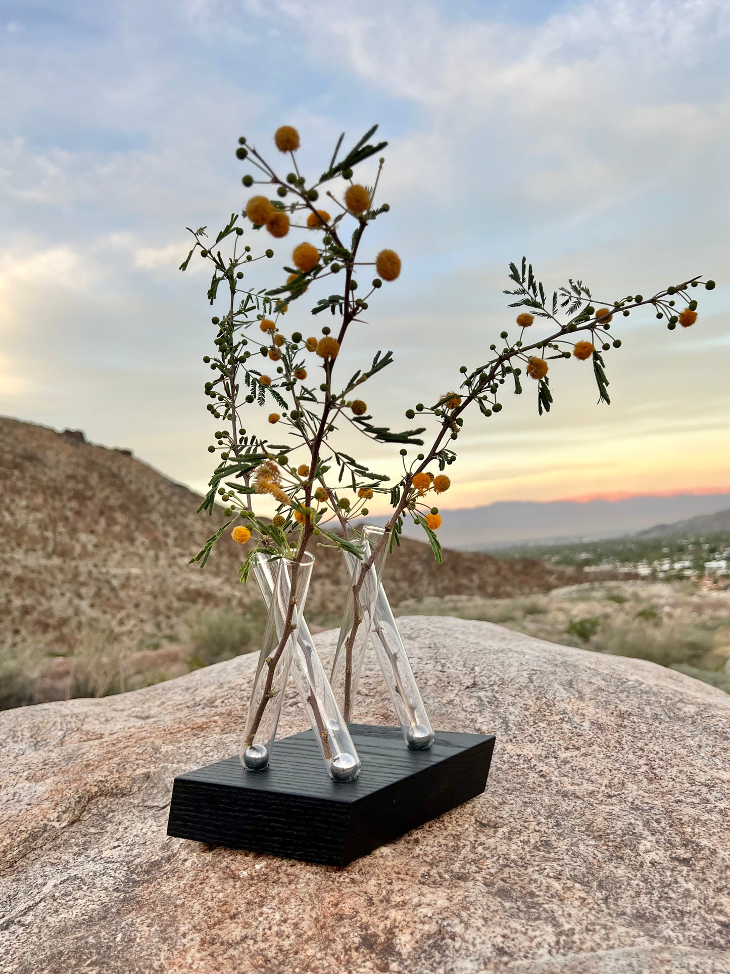 Parallel Adaptation (adaptable magnetic flower vase)