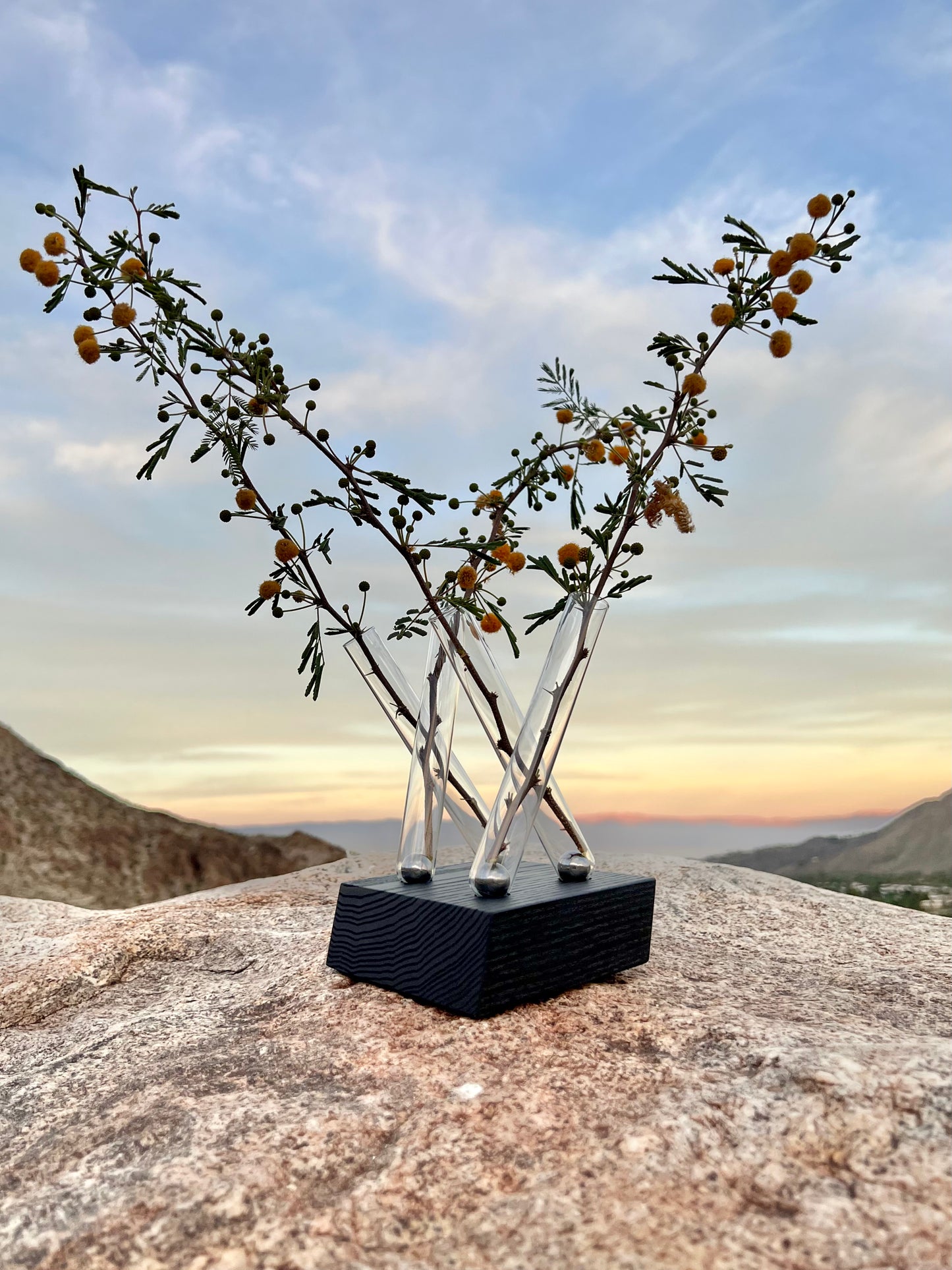 Parallel Adaptation (adaptable magnetic flower vase)