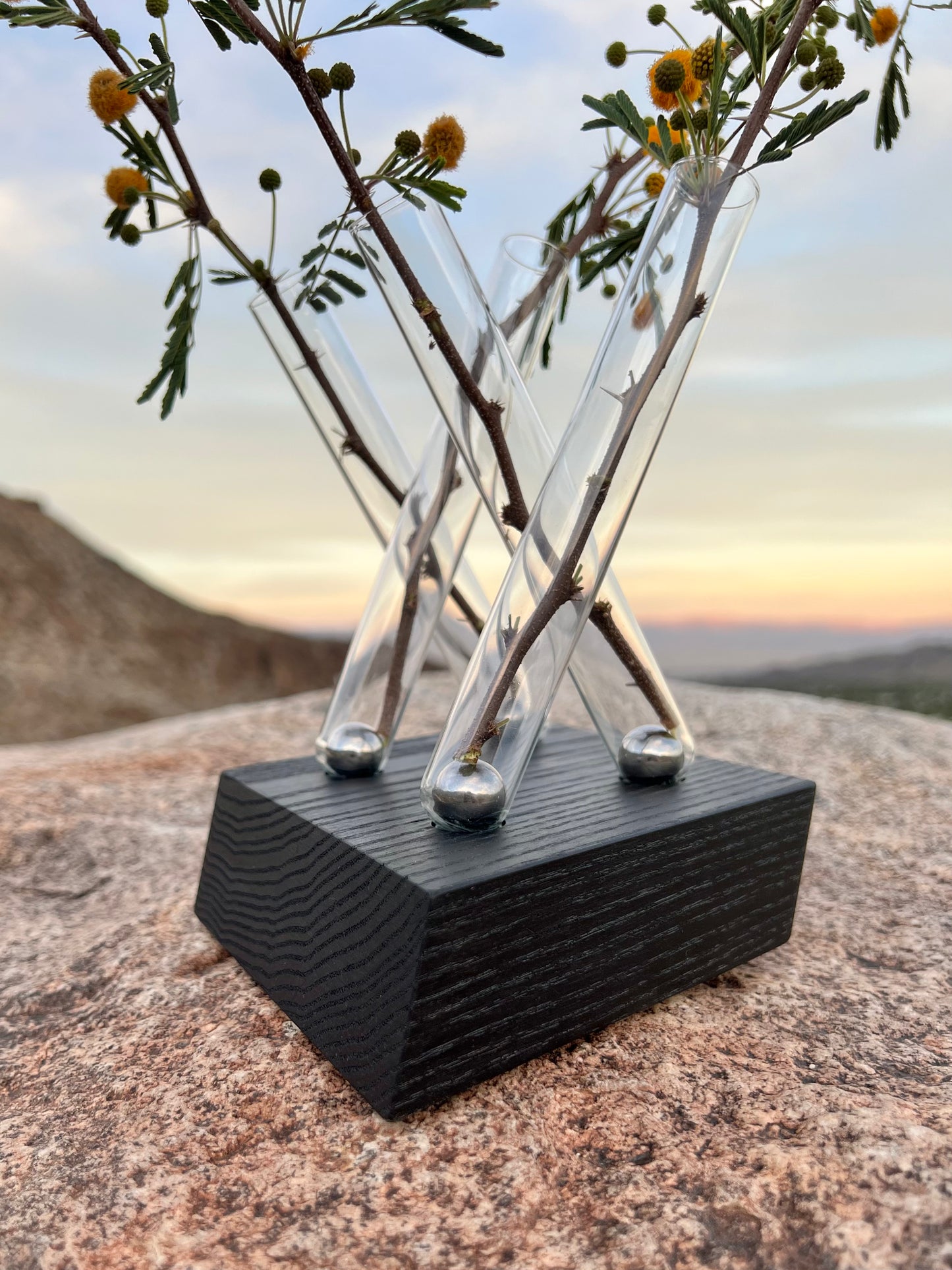 Parallel Adaptation (adaptable magnetic flower vase)
