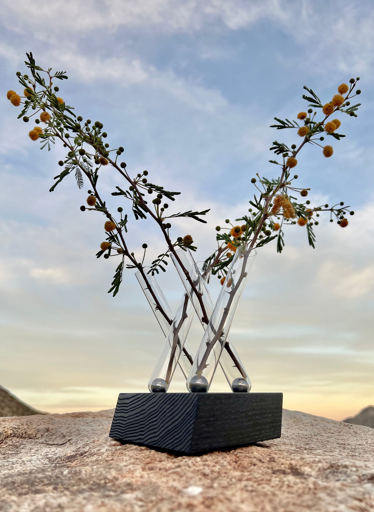 Parallel Adaptation (adaptable magnetic flower vase)