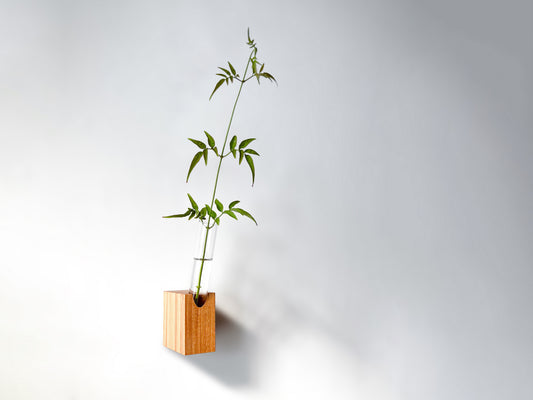 Fiore Da Muro