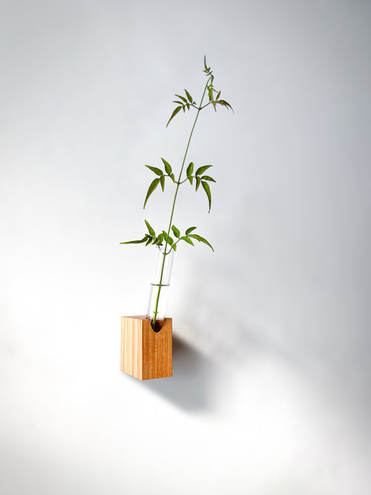 Fiore Da Muro
